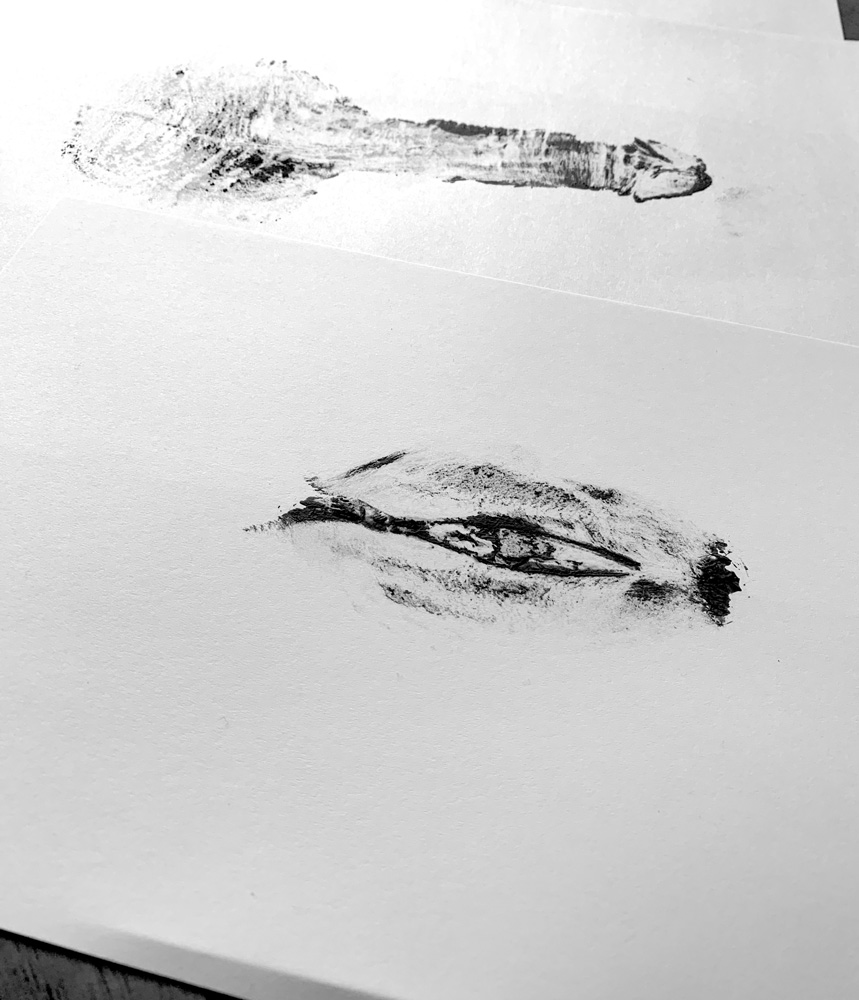 YoniBook_process3